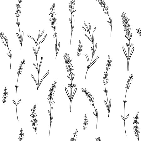 Lavender flower vector seamless patternのイラスト素材