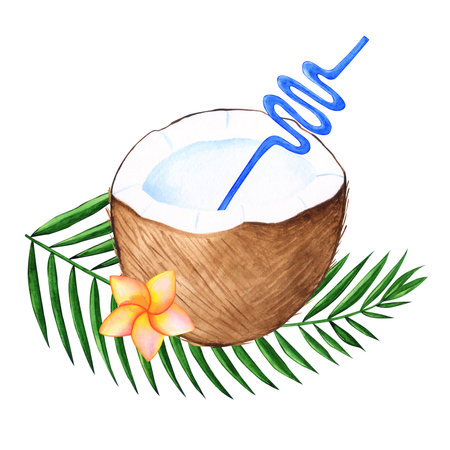 Watercolor coconut tropical hand drawn illustration with isolated elements for design with palm leaf, flower of plumeria and a tube for cocktailの写真素材