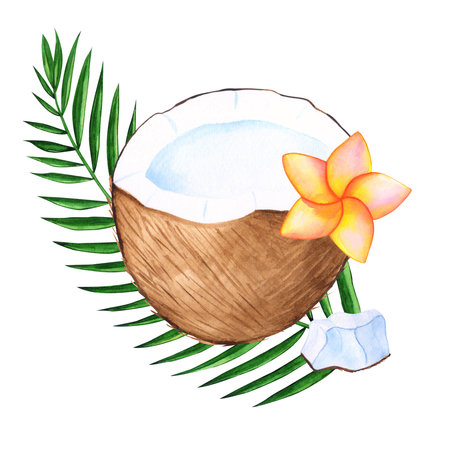 Watercolor coconut tropical hand drawn illustration with isolated elements for design with palm leaf, flower of plumeria and a slice of coconutの写真素材