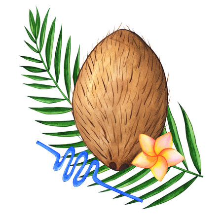 Watercolor coconut tropical hand drawn illustration with isolated elements for design with palm leaf, flower of plumeria and a tube for cocktailの写真素材