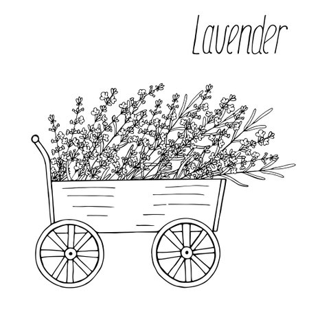 Lavender cart, vector floral black hand drawn isolated elements for design on white backgroundのイラスト素材
