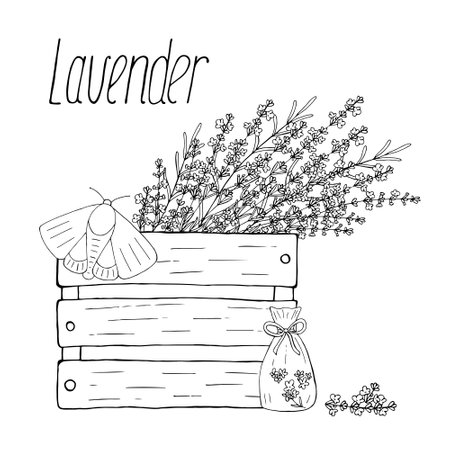 Lavender flowers in a wooden box. Vector hand drawn composition with moth and sachets. Black isolated elements on white backgroundのイラスト素材