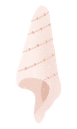 Seashell hand drawn element. Painted drawing for design packaging or greeting cards or invitations...