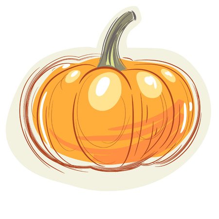 Vector illustration of big pumpkin on a white background.のイラスト素材