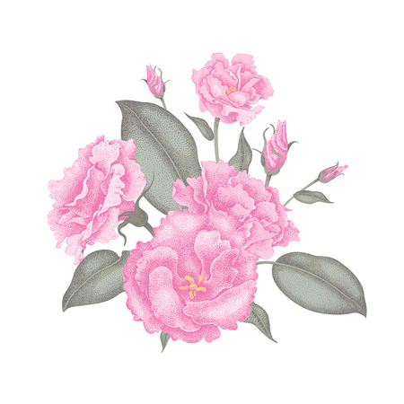 Bouquet of exotic roses isolated on white background. Vector design of pink roses to create invitations, greetings, design gifts, stickers, posters, signboards. Vintage roses in Victorian style.のイラスト素材