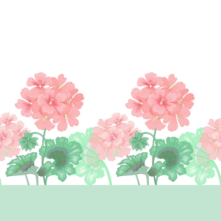 White background with geranium flowers. Seamless pattern. Illustration victorian style. Vintage. Vector. Designs for textiles, fabrics, interior design, curtains, upholstery fabrics, paper, wallpaper.のイラスト素材
