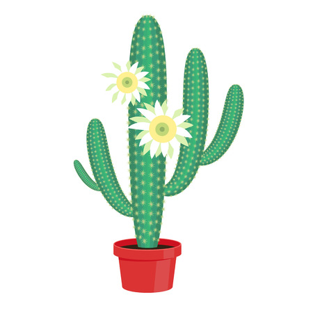 Flowering Cactus in a pot - home flower. Vector illustration.のイラスト素材