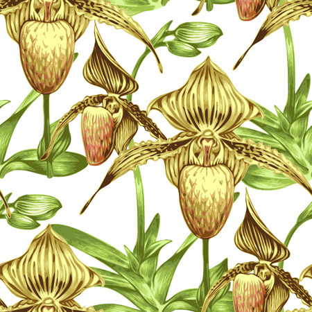 Seamless vector background. Pattern with exotic tropical flowers. Orchid. Design for wallpaper, upholstery fabrics, textiles, paper, packaging.のイラスト素材
