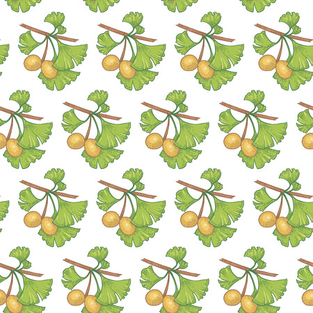 Vector seamless pattern. Branches with leaves and fruits of ginkgo biloba on a white background. Illustration for design packaging, paper, wallpaper, fabrics, textiles.のイラスト素材