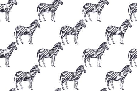 Old engraving zebras. Vector illustration seamless pattern. White and black. African animals.のイラスト素材