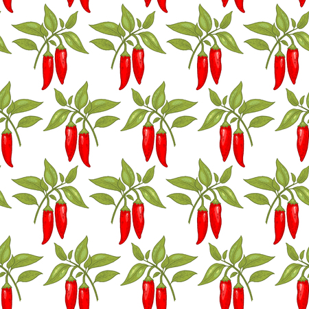 seamless pattern. Bushes of red chili peppers on a white background. Illustration for design packaging, paper, wallpaper, fabrics, textiles.のイラスト素材