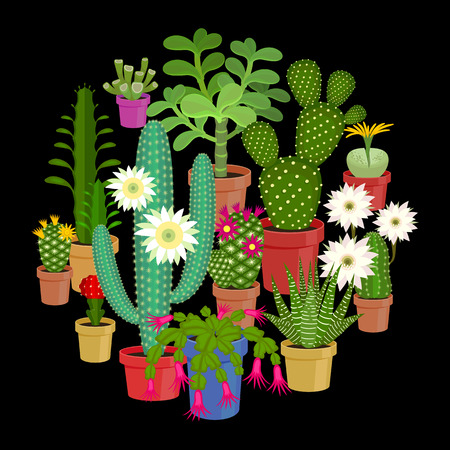 Vector illustration set of blooming flowers home cactus in pots isolated on black background.のイラスト素材