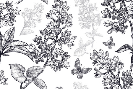 Spring flowers seamless floral pattern. Hand drawing garden plants lilac, butterfly black on white background. Vector vintage illustration. For wrapping, fabric, fashion, paper, packaging, textile.のイラスト素材