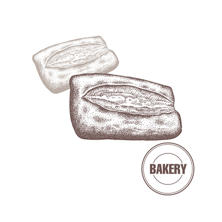 Bakery products. Ciabatta isolated on white background. Vector food illustration art. Style Vintage engraving. Hand drawing of brown ink.のイラスト素材