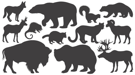 Black silhouettes animals of North America on white background set. Vector illustration art. Polar bear, coyote, puma, skunk, wolverine, antelope, raccoon, porcupine, reindeer, ram, bison, grizzly.のイラスト素材