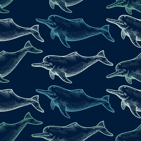 Seamless pattern with animals South America river dolphin. Hand drawing of wildlife. Vector illustration art. Navy blue background, white sketch. Vintage. Design for fabrics, paper, textiles, fashion.のイラスト素材