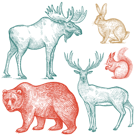 Moose Vector Sketch Illustrationのイラスト素材 イメージマート