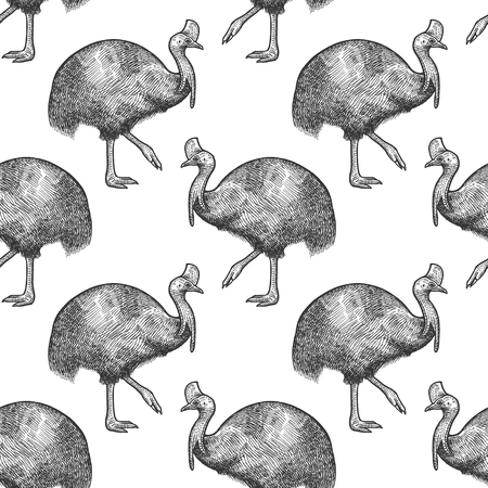 Cassowary bird. Seamless pattern with animals of Australia. Hand drawing of wildlife. Vector illustration art. Black and white. Design for fabrics, paper, textiles, fashion.のイラスト素材
