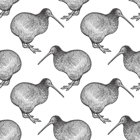 Kiwi bird. Seamless pattern with animals of Australia. Hand drawing of wildlife. Vector illustration art. Black and white. Design for fabrics, paper, textiles, fashion.のイラスト素材