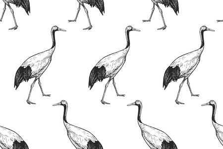 Seamless pattern with birds Japanese cranes. Vector illustration art. Vintage engraving. Black bird figures on a white background. Template for design of paper, textiles, wallpaper.のイラスト素材