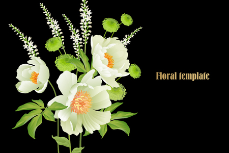 Floral card luxury pattern Delicate pastel white garden aster peonies black background Flora vintage style Vector bouquet and wreaths garden flowers Template for business cards, posters, signs, flyersのイラスト素材