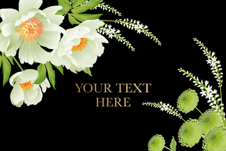 Floral card luxury pattern Delicate pastel white garden aster peonies black background Flora vintage style Vector bouquet and wreaths garden flowers Template for business cards, posters, signs, flyersのイラスト素材