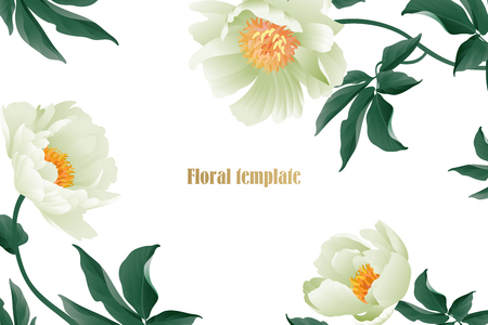 Floral card luxury pattern. Delicate pastel white garden peonies on white background. Flora vintage style Vector bouquet and wreaths garden flowers. Template for business cards, posters, signs, flyersのイラスト素材