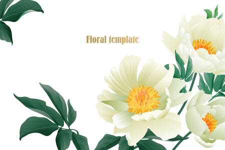Floral card luxury pattern. Delicate pastel white garden peonies on white background. Flora vintage style Vector bouquet and wreaths garden flowers. Template for business cards, posters, signs, flyersのイラスト素材
