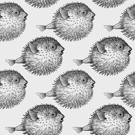 Seamless vector pattern with fish hedgehog under water. Sea bottom and animals. Vintage engraving art. Hand drawing sketch. Kitchen design with seafood for paper, fabrics, wallpaper. Black and whiteのイラスト素材