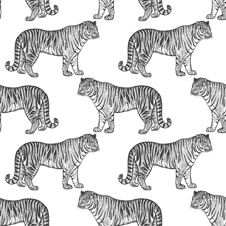 Tiger. Seamless pattern with animals of Africa. Hand drawing of wildlife. Vector illustration art. Black and white. Old engraving. Vintage. Design for fabrics, paper, textiles, fashion.