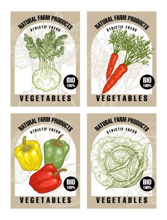 Kohlrabi, carrots, peppers and cabbage. Labels with vegetables. Set templates price tags for shops, markets of organic vegetarian food. Vector illustration art. Vintage. Hand drawing of nature objectsのイラスト素材