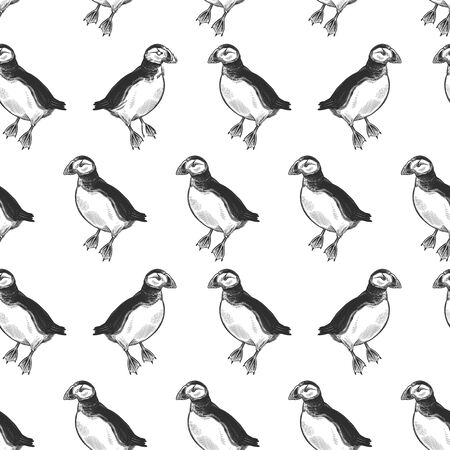 Puffins. Exotic birds deadlock. Seamless pattern. Black ink on white background. Vector illustration. Wild life. Natural motive of nature. For paper, wallpaper, textiles, ornamental coverings.のイラスト素材