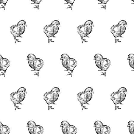 Seamless pattern. Little cute Chickens. Decorative background. Domestic bird. Farm animals series. Vector illustration of poultry. Black and white graphics. Vintage sketch.のイラスト素材
