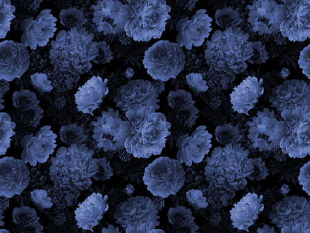 Floral summer seamless pattern. Nature illustration. Navy blue color. Blue flowers peonies and leaves on black background. Template for fabrics, summer textiles, paper, wallpaper, interior decorationの写真素材
