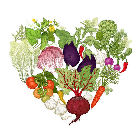 Delicious heart made of vegetables. Vector illustration art set. Beetroot, carrots, tomatoes, cucumbers, radishes, lettuce, garlic, eggplant, artichoke on white background. Vintage hand drawing plantsのイラスト素材
