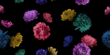 Floral summer seamless pattern. Garden peonies. Multicolored flowers on a black background. Template for fabrics, textiles, paper, wallpaper, interior decoration. Vintage.の写真素材