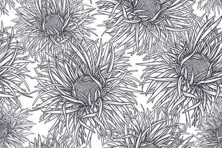 Black and White Seamless Pattern. Floral Summer Background. Blooming Flowers Asters. Vintage Template for paper, wallpapers, textiles. vector illustration.のイラスト素材
