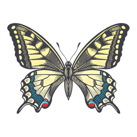 papilio machaon. Color decorative butterfly isolated on white background. Vector illustration of insects. vintage engraving.のイラスト素材