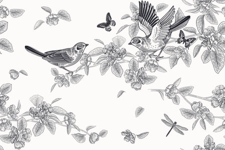 Cute birds on the branches, butterflies, dragonfly. Flowers and leaves of Blossoming tree. Floral seamless pattern. black and white. Spring vector illustration. vintage. Template for wallpaper, paper.のイラスト素材
