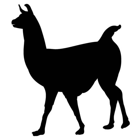 llama black realistic silhouette in profileのイラスト素材