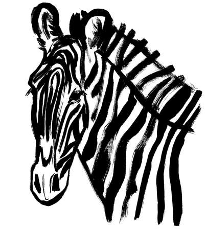 zebra head close drawn with black paint on a white backgroundの写真素材