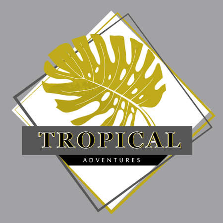 tropical poster with monstera leaf in rhombus and inscription tropical adventures in monochromeのイラスト素材