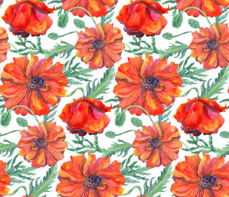 watercolor seamless pattern with red poppies on a white backgroundの写真素材