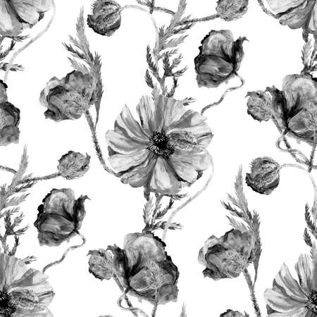 seamless black and white botanical patter with graceful poppies on a white background for summer fashionの写真素材