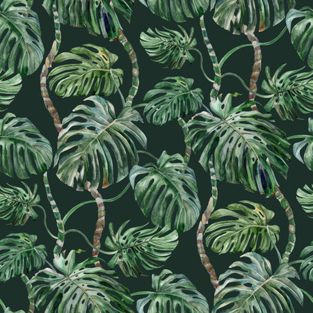Seamless watercolor pattern with monstera flower on a green backgroundの写真素材