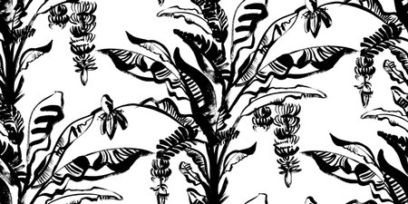 Black and white pattern with a tropical banana palm painted with a dry brush in black gouacheの写真素材