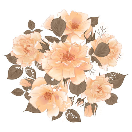 Round Bouquet of roses in vintage style for surface design beautiful fabric and textileのイラスト素材