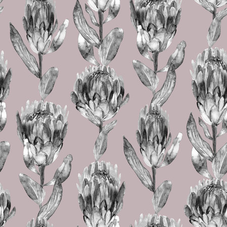 Monochrome black and white watercolor seamless pattern with protea flowers on a light backgroundの写真素材