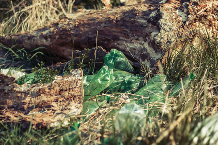 Old green plastic bottles dumped in the grass by the old treeの写真素材