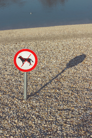 No dogs allowed sign on a beach on sunny summer dayの写真素材